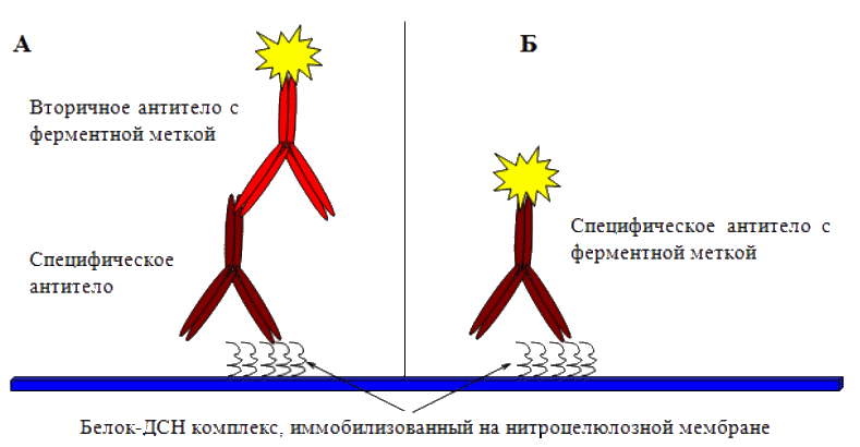 Игры для девочек раскраски бесплатно монстр хай Игры для девочек раскраски бесплатно монстр хай
