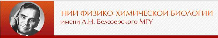 Logo_NII Belozersk.jpg